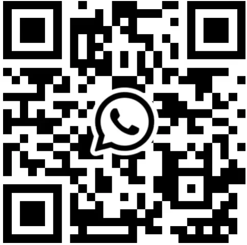 WhatsApp Number +86 134 7781 3729